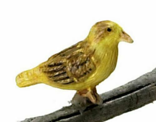 Dollhouse Miniature Norwich Fancy Canary #1300