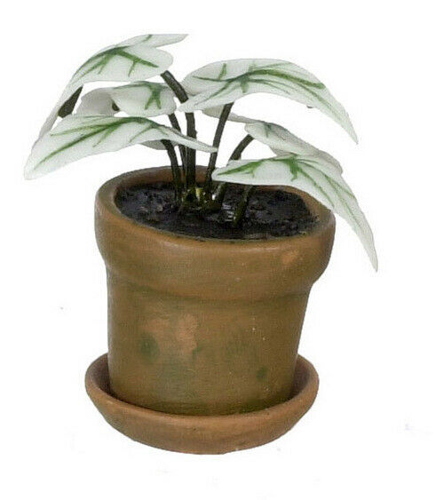 Dollhouse Miniature White Caladium in Pot
