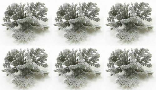 Dollhouse Miniature Dusty Miller, 6 Pieces
