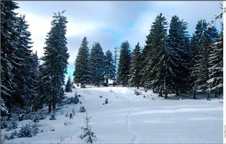 Dollhouse Miniature Wallpaper Mural - Winter Trail 1:12 Scale Itsy Bitsy Minis
