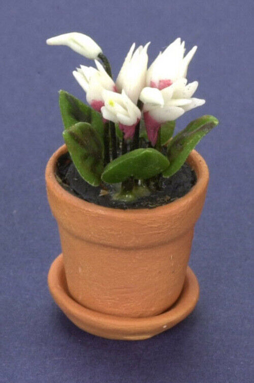 Dollhouse Miniature White Cyclamen in Pot