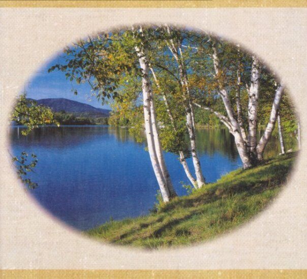 Dollhouse Miniature Wallpaper Mural by What's Next 51A - 10-7/8" x 8-7/8"