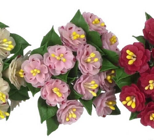 Dollhouse Miniature Camellia Pink Stripes Set of 12
