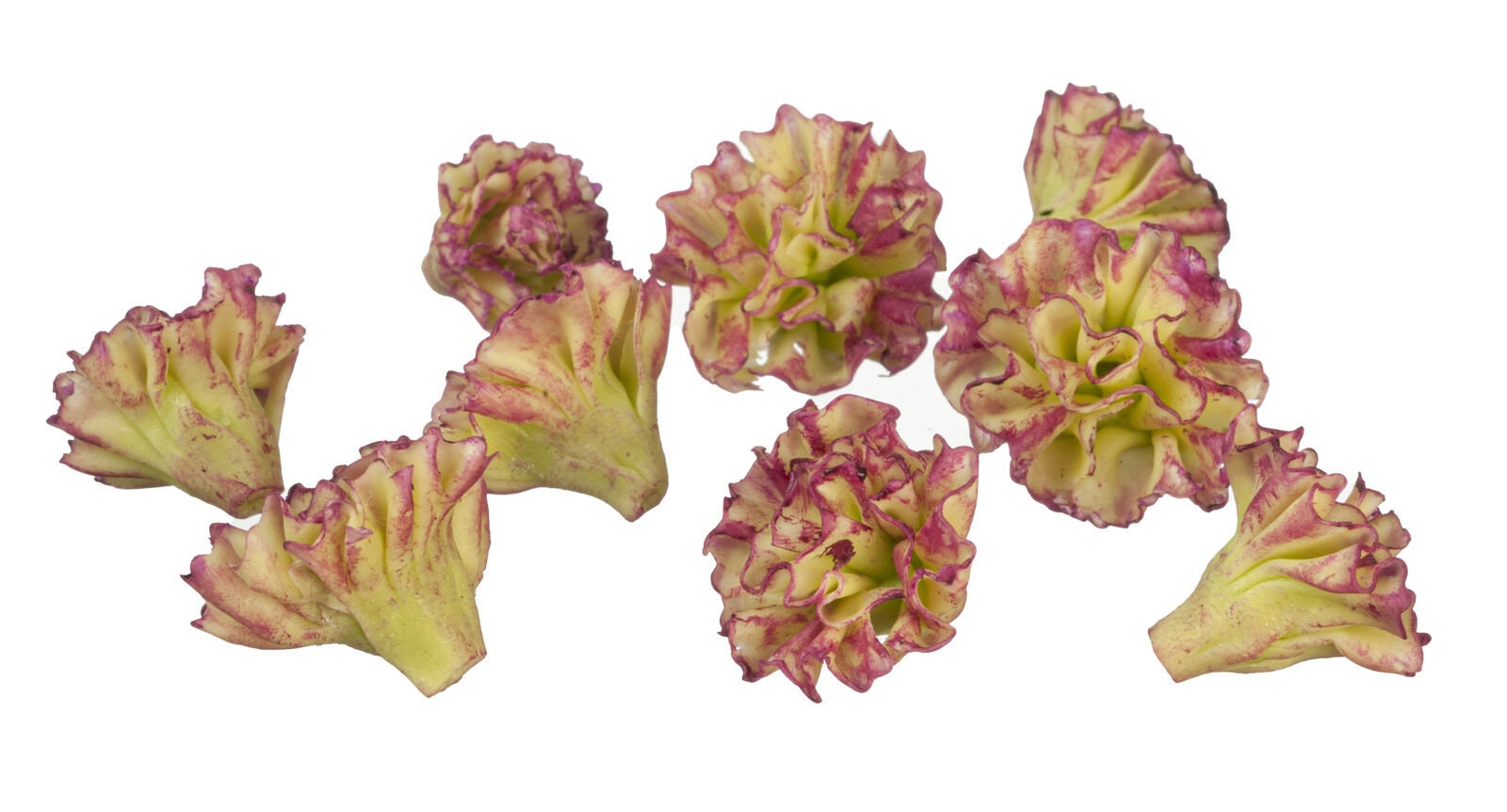 Dollhouse Miniature Red Lettuce Set of 10