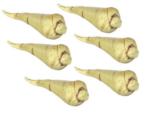 Dollhouse miniature white radishes, 6 pieces, by falcon miniatures