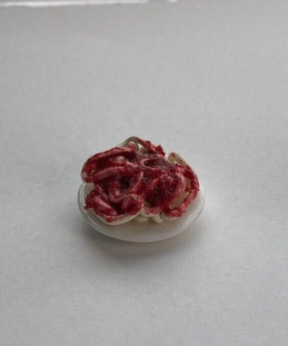 Dollhouse miniature plate of spaghetti  - handcrafted