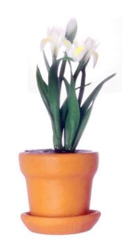 Dollhouse Miniature White Iris in Clay Pot, by Falcon Miniatures