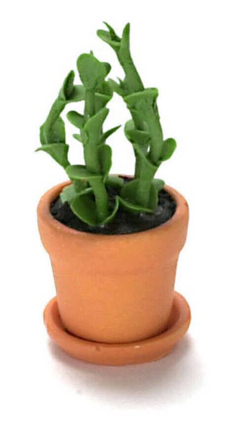 Dollhouse Miniature House Plant #1779