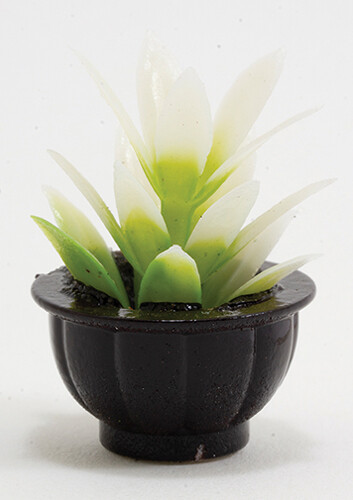 Dollhouse Miniature White Plant  in Black Pot