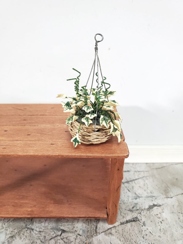 Dollhouse Hanging Plant Variegated English Ivy in Natural Fiber Basket