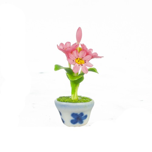 Dollhouse Miniature Gazomia in Pot
