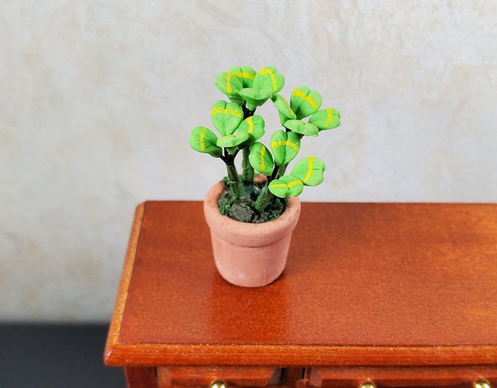 Dollhouse Lucky 4-Leaf Clovers in Terra Cotta Pot Miniature 1:12 Scale